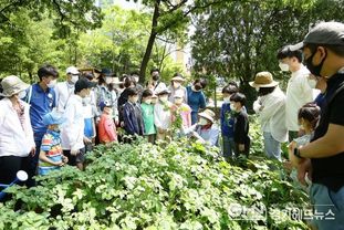 의왕시, 2023년 가막들공원 온가족텃밭교실 참여가족 모집