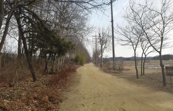 안산시, 안산갈대습지 개방 시간 연장… 오후 10시까지 운영
