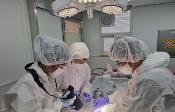 경기도 동물위생시험소, 7월부터 '수의법의검사' 시작