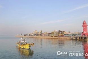 [기획]시흥시, 올 여름, 오이도 어촌휴양마을에서 '유유자적' 조개 캐기 체험하며 K-갯벌 매력에 '풍덩'