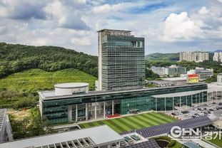 용인특례시, 사실상 멸실 상태인 압류차량 469대 체납처분 중지