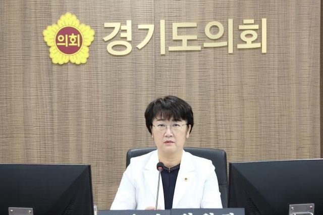 경기도의회 고은정 의원, 경기도사회적경제원 인사청문회서 후보자의 전문성·현실성 부족 지적