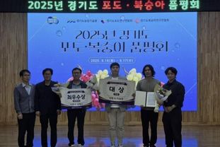 시흥시, 2025년 경기도 포도·복숭아 품평회서 3관왕 쾌거