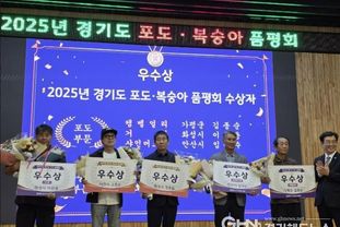화성특례시, '2025년 경기도 포도·복숭아 품평회'서 우수상 수상