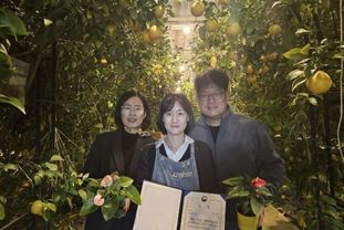 용인특례시, 치유농업 전문인력 배출…한수정 '팜앤트리' 대표 우수상 수상