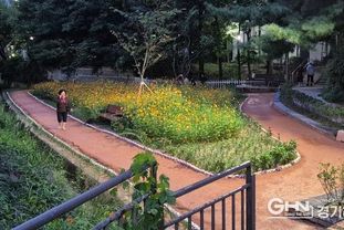 수원시 영통구민의 선택! '올해의 best 5' 선정