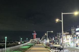 시흥시, 야간 도로 안전성 강화…가로등을 고효율 LED조명으로 100 교체 완료