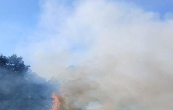 안성시, 농촌지역 산불․화재 예방 불법소각 집중단속 결과, 올해 81건 적발