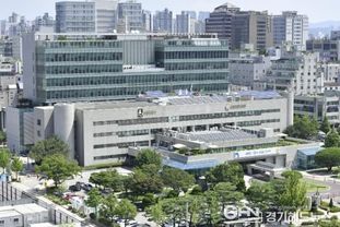 음악회, 제야 타종, 새해 해맞이… 수원특례시, 시민과 함께하는 송년·신년행사 연다