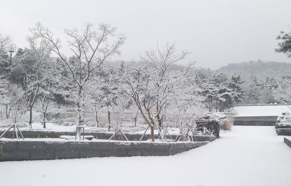 올해 마무리는 다양한 체험이 준비된 경기 바다향기수목원에서