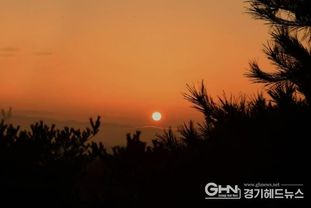 성남시 새해 첫날 금토산 판교 마당바위서 해맞이 행사