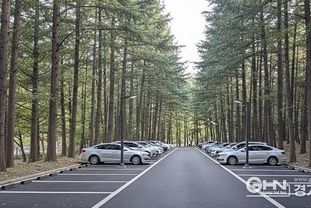 성남시, 하이테크밸리 근린공원에 150면 주차장 조성하기로