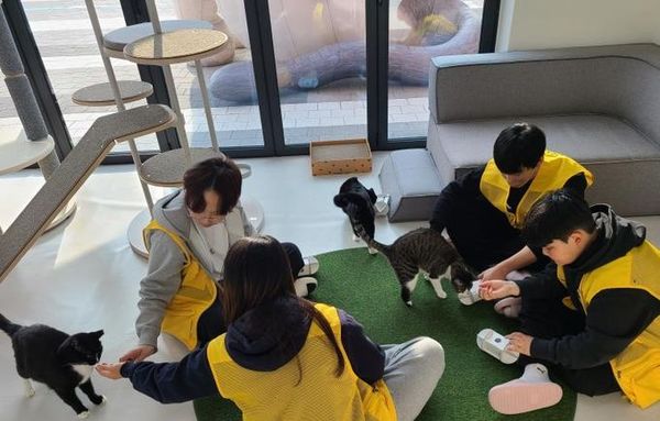 "유기동물과 따뜻한 겨울나기" 경기도, 겨울방학 청소년 자원봉사 운영