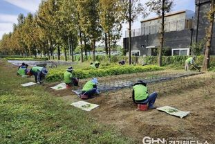 성남시, 2026년 상반기 지역공동체일자리 참여자 135명 모집