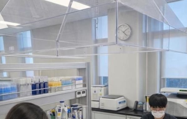 경기도, '돼지 건강의 시작' 종돈 가축전염병 정밀검사 추진