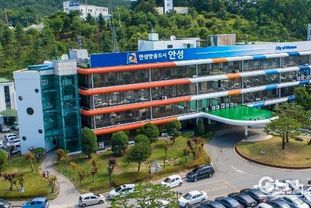 안성시치매안심센터, 2026년 치매예방사업 참여자 모집