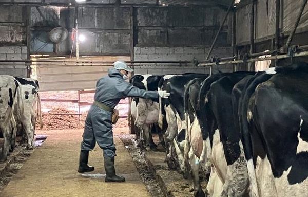 경기도, 공수의사 활동 지원 위한 수당 인상·상해보험 지원 확대