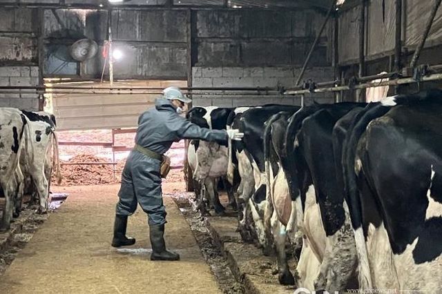 경기도, 공수의사 활동 지원 위한 수당 인상·상해보험 지원 확대