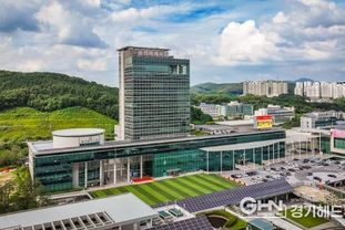 용인특례시, 반려동물 원스톱 서비스 실시