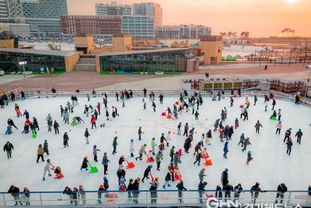 시흥도시공사, '거북섬 스케이트장' 5만 5천여 명 방문하며 성황리 종료