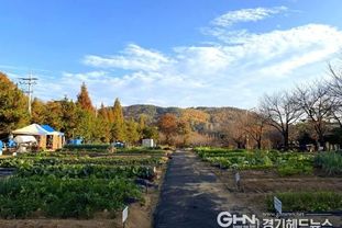 안성시, 2026년 도시농업공동체 공공텃밭 분양자 모집