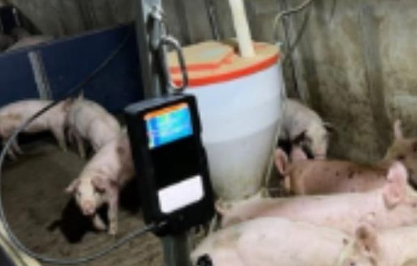 경기도농기원, 인공지능으로 스마트축산 실현. 소득 늘고 사고 줄어