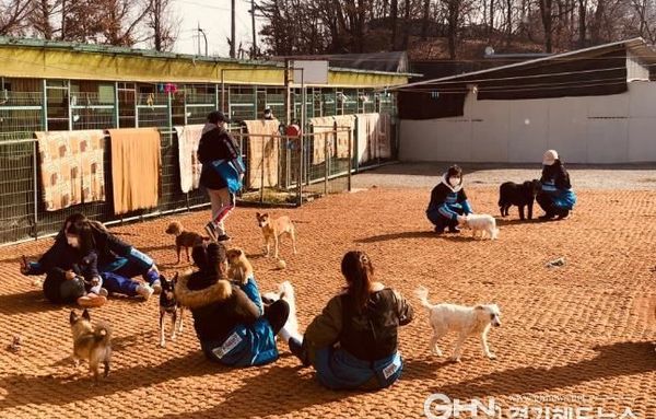 경기도, 민간동물보호시설서 보호중인 동물들 건강 챙긴다. 수의사 현장 방문