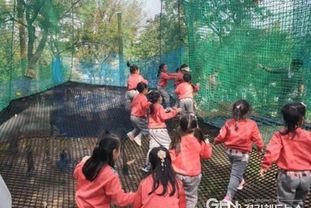 평택시, 자연 속 체험 공간 '학현 네트어드벤처' 2026년 운영 개시