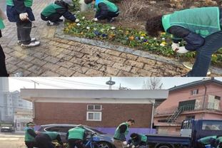 평택시 통복동 새봄맞이 봄꽃 식재