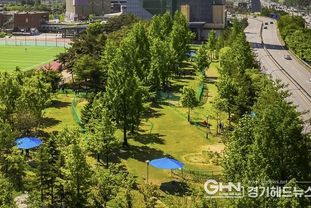 용인특례시, 현재 2개인 파크골프장 대폭 늘린다