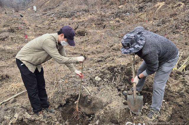 경기도, ‘꿀’만 따는 나무 넘어 ‘돈’ 되는 산림 만든다…밀원수 실증 연구 박차
