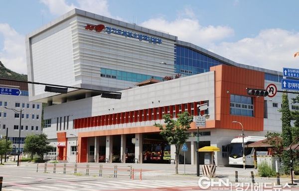 "사람 구하러 갔는데 개가 덥석" 119출동 시 '반려견 주의' 당부