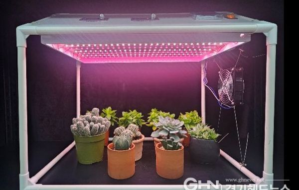 경기도농업기술원, '가정용 다육식물 재배기' 개발. 실내 햇빛·환기 부족 문제 해결