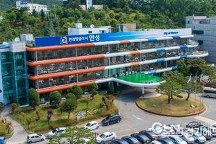 '청년이 살고 싶은 안성', 글로벌 사다리로 미래세대 정착 기반 다진다