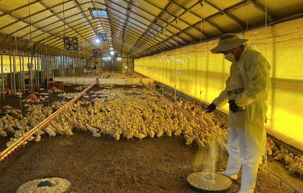 경기도, 유용미생물 사용농가 97. "효과 있다" 68는 공급 확대 요구