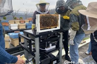 평택시, 인공지능 기반 꿀벌응애 검출 장치 현장 실증