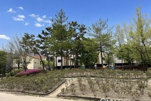 오산시, 고인돌공원에 '오산-허쩌 우정의 모란정원' 조성…개화 앞두고 관람 준비 완료