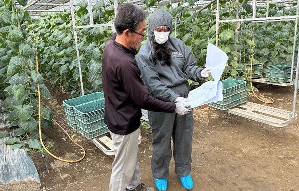 경기도농업기술원, 시설원예 농가 맞춤형 컨설팅 추진