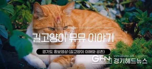 유기동물 인식개선 “길고양이 뮤뮤 이야기” 홍보 영상 자료