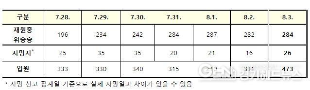 재원중 환자 현황
