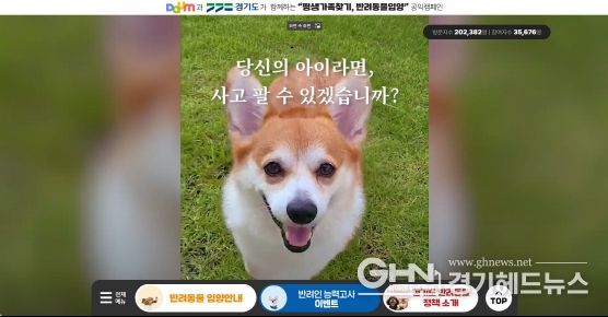 경기도 동물 입양 문화 확산 공익캠페인