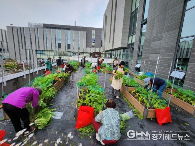 용인특례시 수지구보건소가 진행하는 '함께 만드는 행복데이' 텃밭 모습