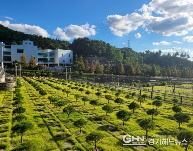 용인 평온의 숲, 수목장 4위형 10월 1일부터 확대·운영 개시