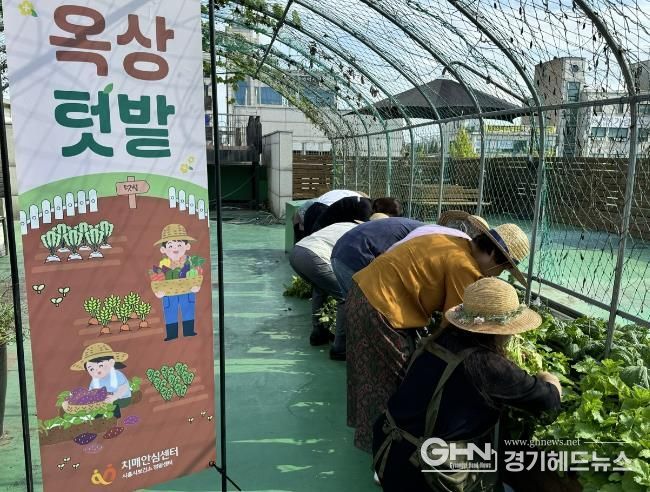 시흥시 정왕치매안심센터, 기억 키움 쉼터 이용자들과 옥상 텃밭 가꾸기 활동 진행