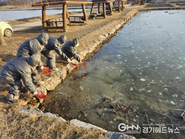 시흥시, 시흥환경연대·명예환경감시원과 함께 겨울 철새 먹이주기 캠페인 추진