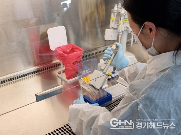 민간협업 구제역 백신 항체검사 사진