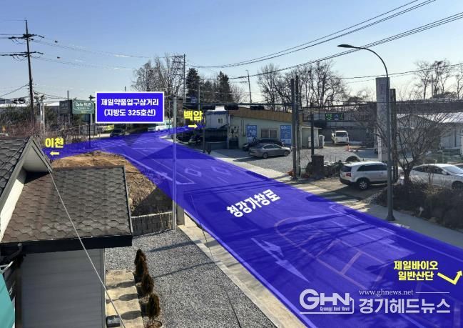 제일약품 입구 삼거리 전경