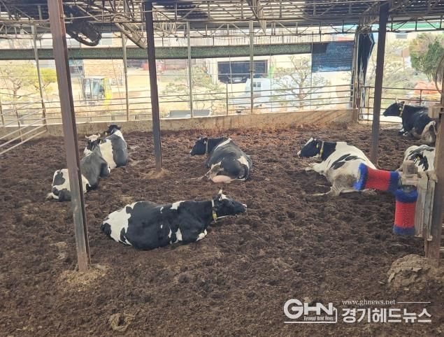 낙농산업 경쟁력 강화