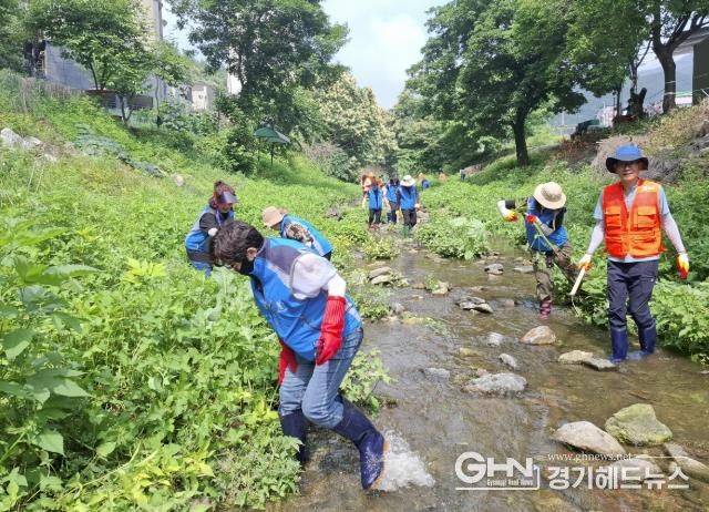 광주시 탄벌동, 주민과 함께 목현천 유해식물 제거 및 환경 정화활동 펼쳐