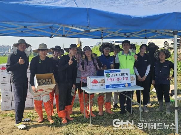 한국4-H안성시연합회, 공동작업학습포 감자수확 및 기부행사 성료!